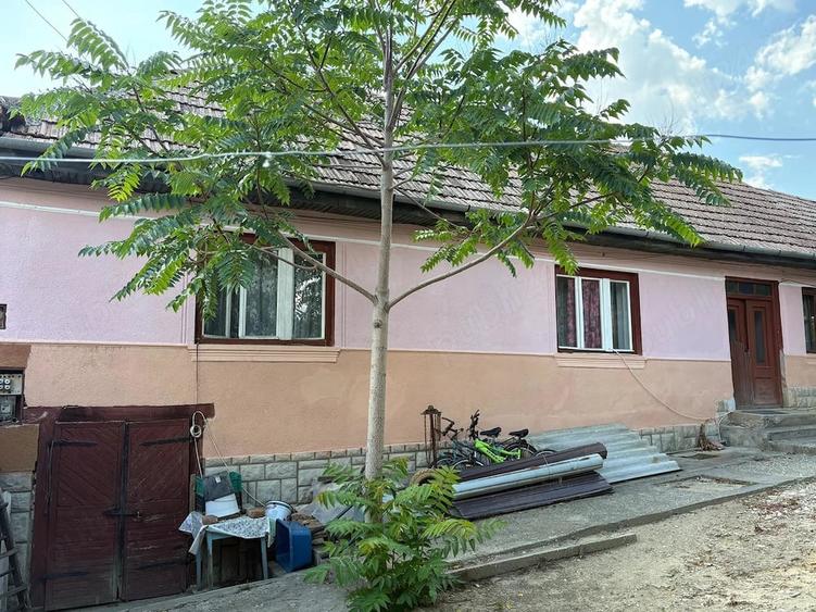 Casă cu Teren 700 Mp în Cut