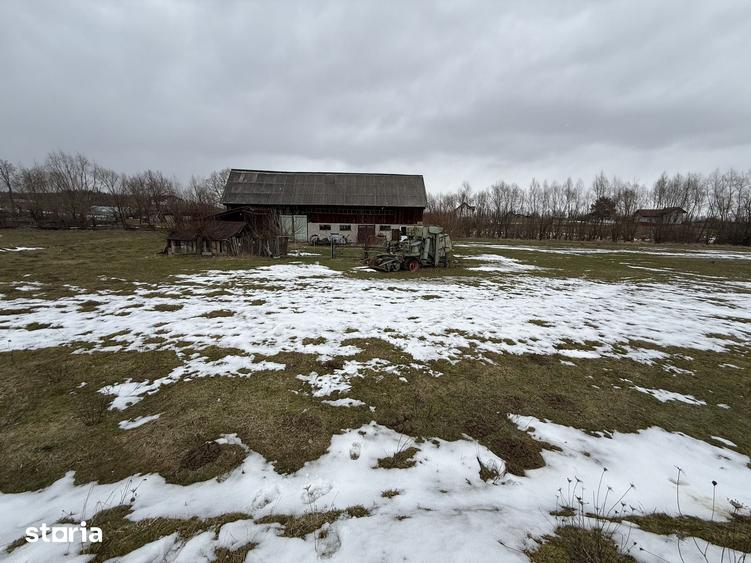 Teren de 3600 mp, în Horodnic