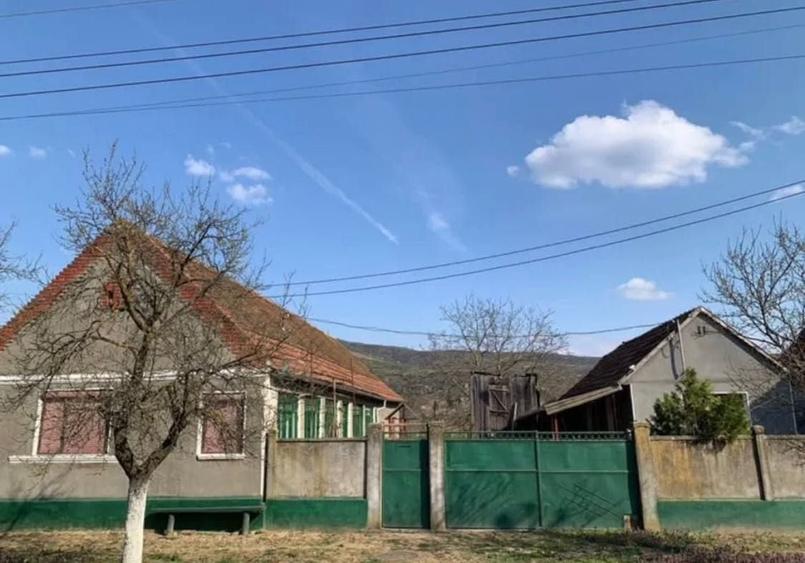 Casa de vanzare - 1