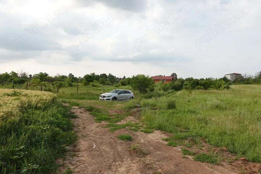 Teren de 10100 mp, în Tâncăbești