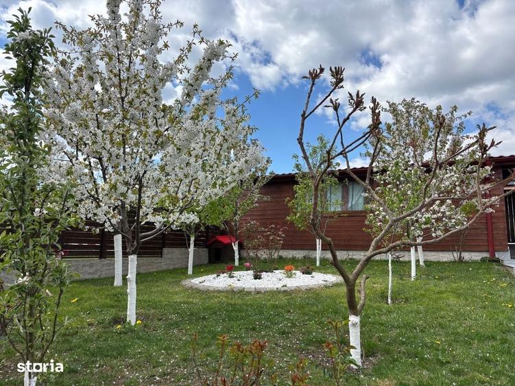 Casă cu 4 camere cu Teren 426 Mp în Central
