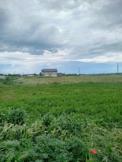Teren de 422 mp, în Curtișoara