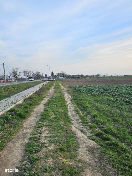 Teren de 21600 mp, în Gepiu