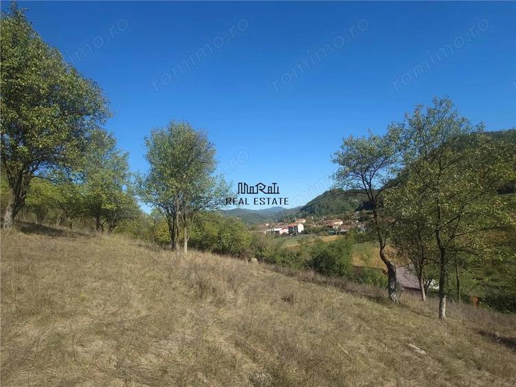 Teren de 1274 mp, în Criș