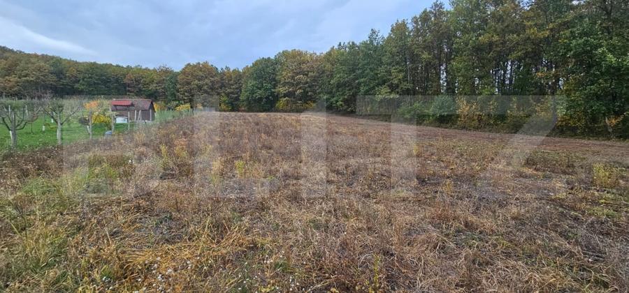 Teren Construcții intravilan de 2882 mp, în Bejan