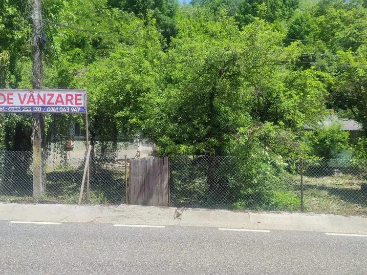 Casă cu Teren 4835 Mp în Central