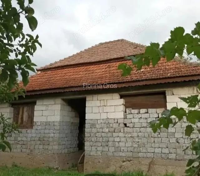 Casa de vanzare la tara