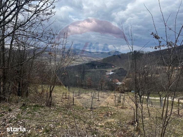 Teren de 12458 mp, în Meteș