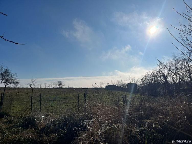 Teren de 3275 mp, în Petrovaselo