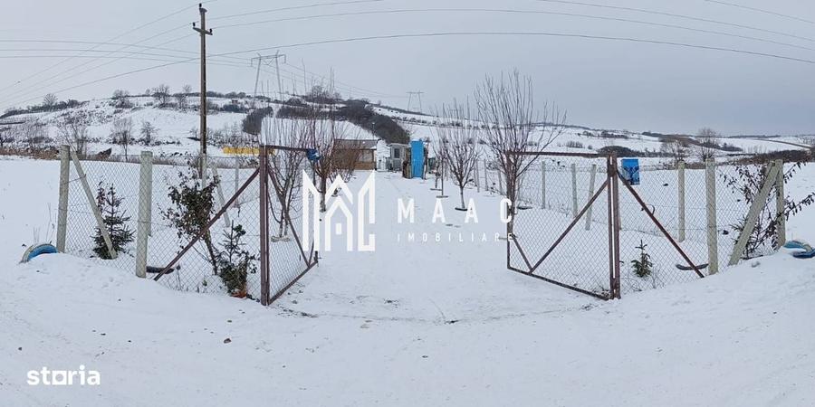 Spațiu comercial, în Șura Mare