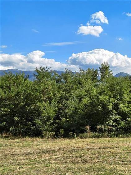 Teren agricol extravilan de 2500 mp, în Periferie