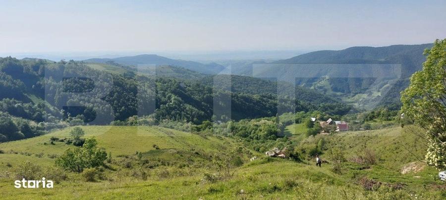 Spațiu comercial, în Râmeț