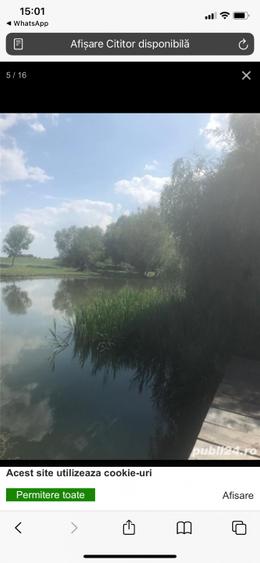 Casă individuală cu 5 camere cu Teren 4000 Mp în Remetea Mare