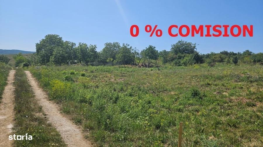 Spațiu comercial, în Borhanci