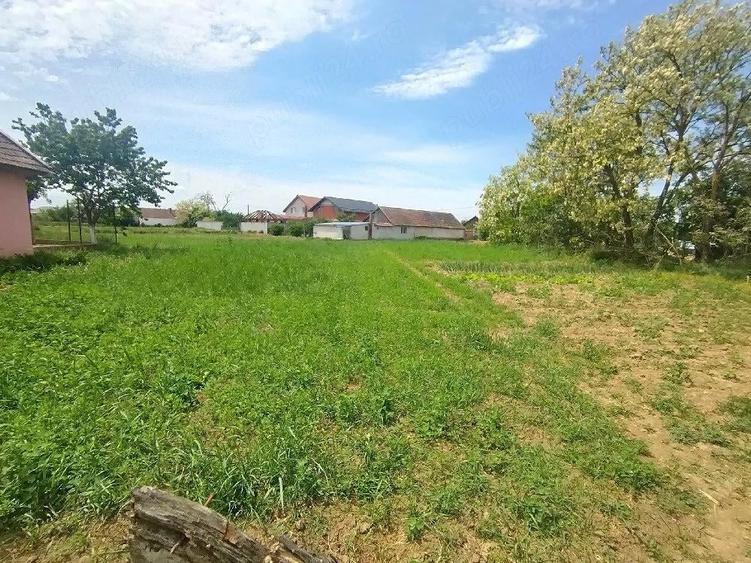 Teren de 1200 mp, în Sânnicolau Român