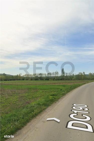 Teren de 24000 mp, în Drăgești