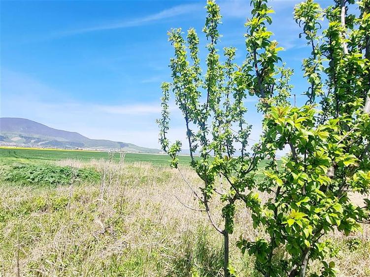Teren agricol intravilan de 47.576999664307 mp, în Central