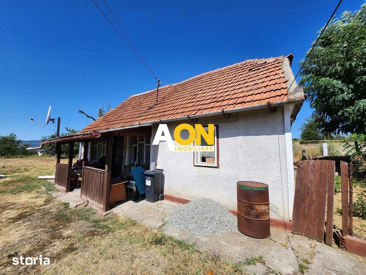 De vanzare teren 10.651mp intravilan, parcelabil, Oarda de Sus - 2