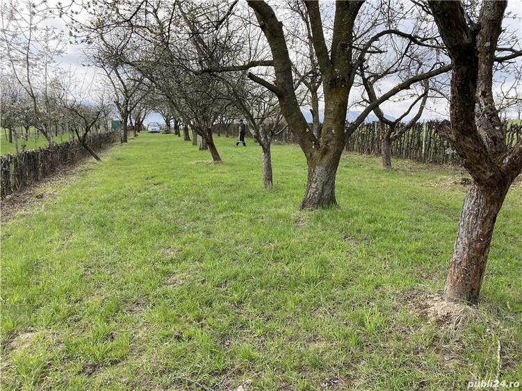 Teren de 3200 mp, în Rășinari
