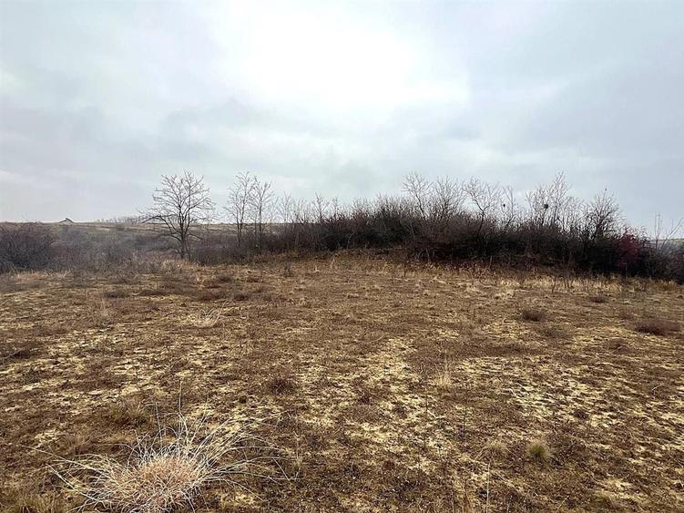 Teren agricol extravilan de 905 mp, în Sigmir