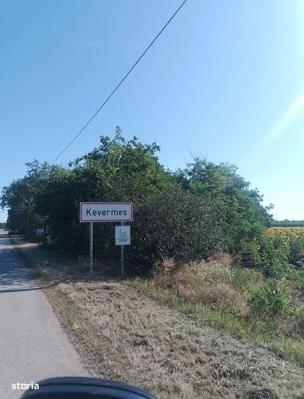 Casă cu 3 camere cu Teren 3500 Mp în Central