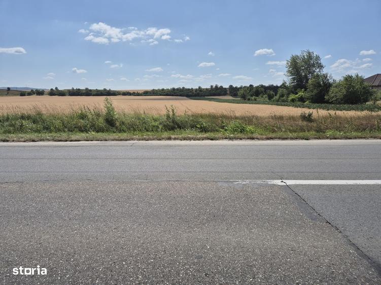 Teren intravilan de vanzare- 7300 mp, in Vintu de jos - 4