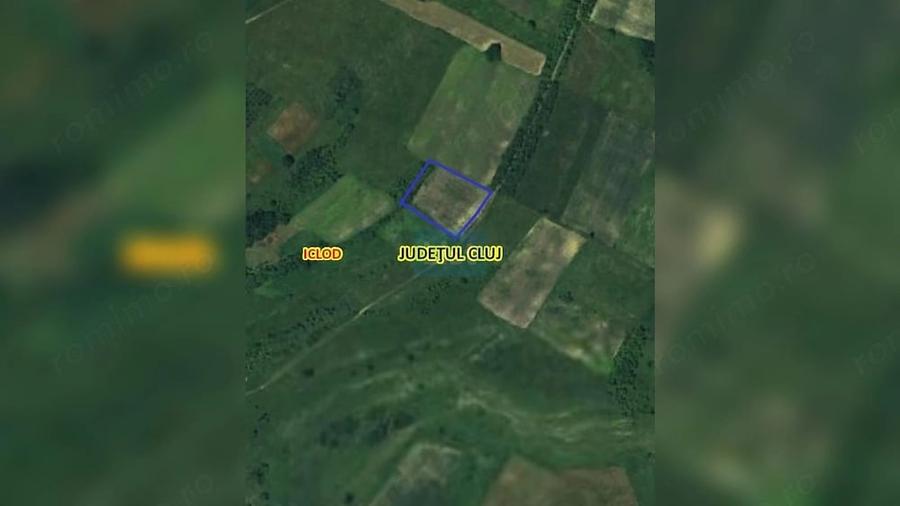 Teren intravilan 7800mp in Livada Iclod, utilitati, 63 euro/mp - 6