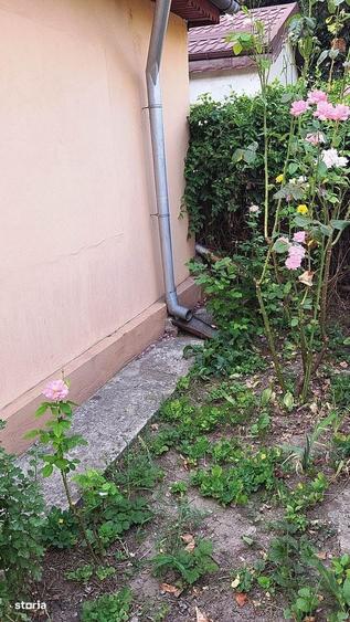 Casă cu 3 camere în Central