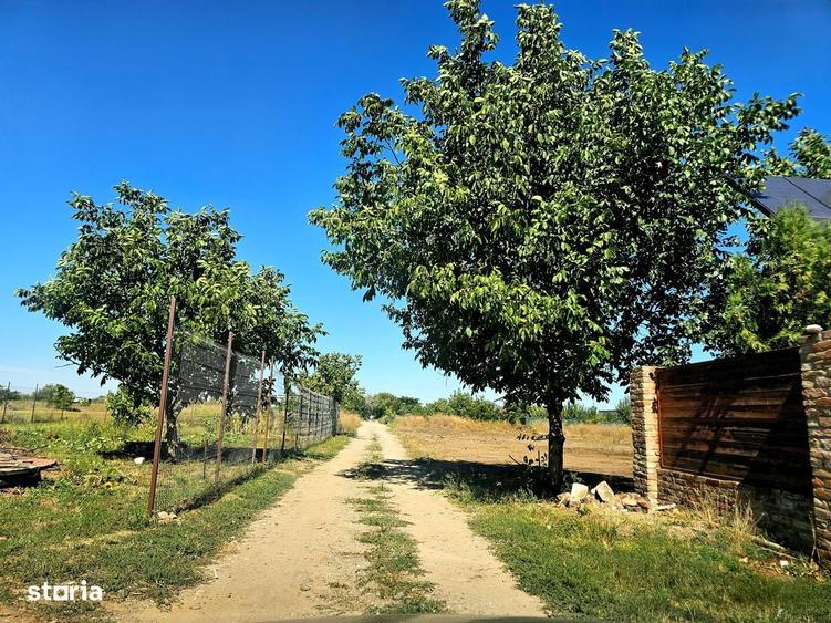 Spațiu comercial, în Costi