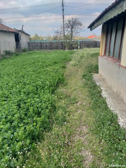 Teren de 3500 mp, în Izvoarele