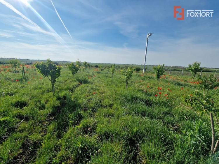 Teren agricol extravilan de 3500 mp, în Remetea Mare