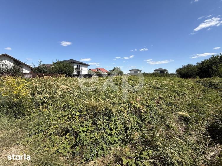 Teren intravilan de vanzare Iasi, Vorovesti | 981 mp | Deschidere - 1