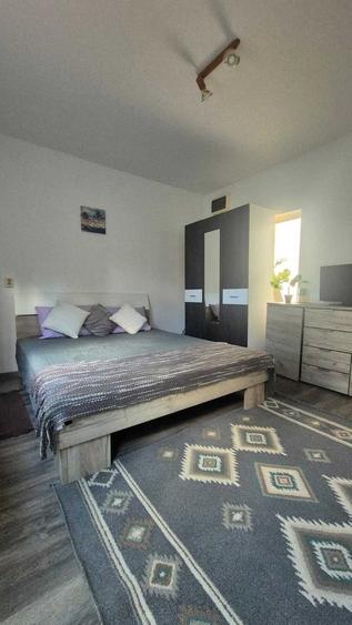 Apartament cu 2 camere semidecomandat în Dosu Bricii