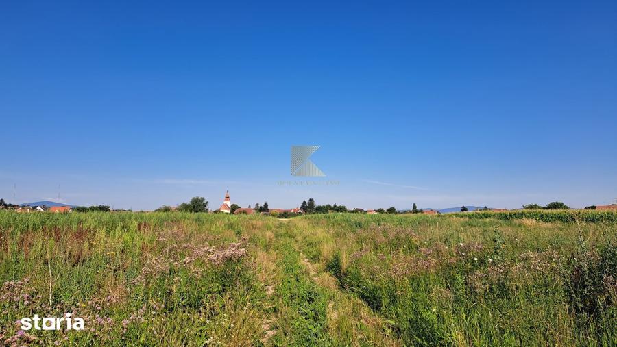 Teren de 20000 mp, în Bod