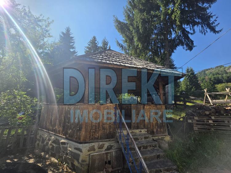 Duplex cu 7 camere cu Teren 500 Mp în Colibița