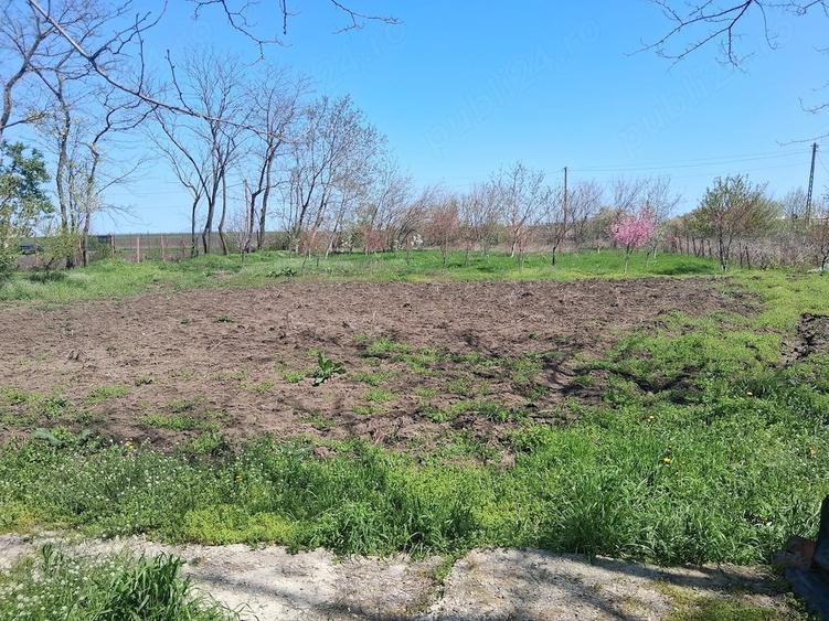 Casă cu Teren 1800 Mp în Căldărușeanca