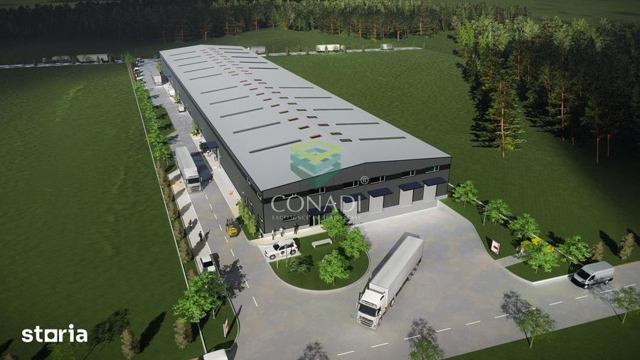 Teren de vanzare cu autorizatie pentru 2 hale - Otopeni - 10.000 mp - 10