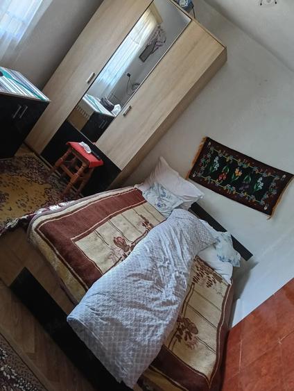 Casă cu Teren 11000 Mp în Valea Poienei