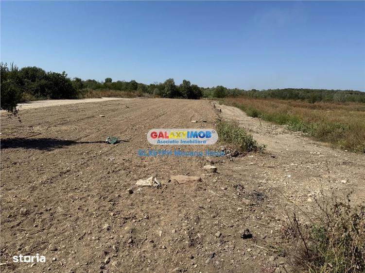 Teren de 2960 mp, în Lipănești