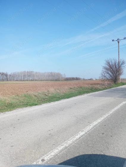 Teren de 500 mp, în Coșoveni