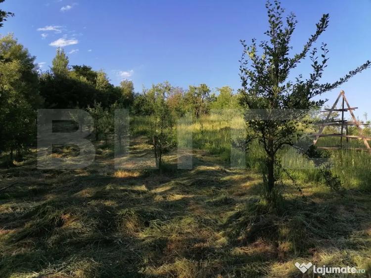 Teren de 14400 mp, în Gemenea-Brătulești