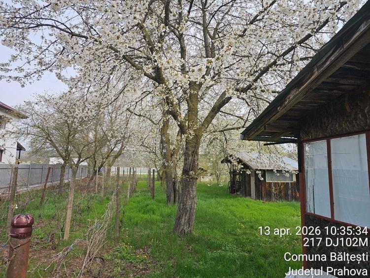 Casă cu 3 camere în Bălțești