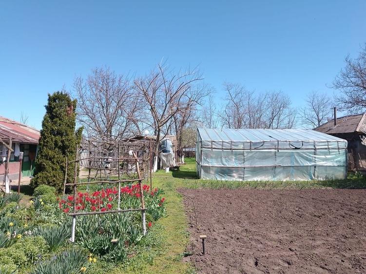 Casă cu 4 camere în Valea Stânii