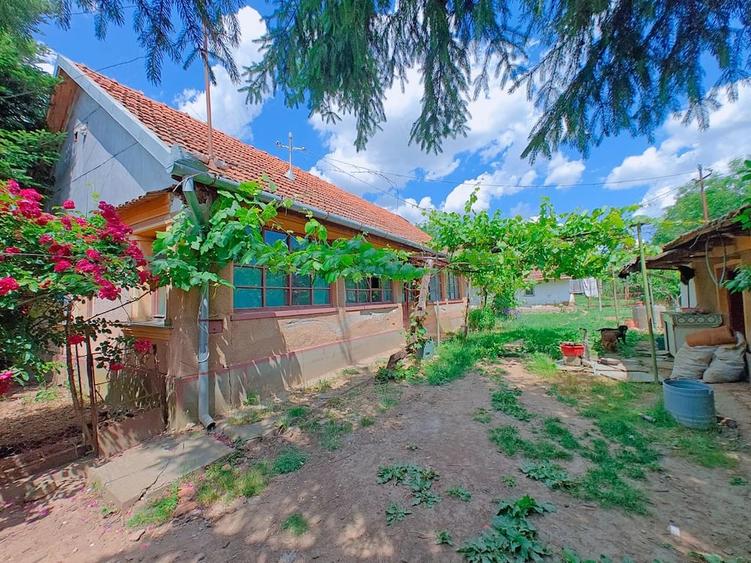 Casă cu 2 camere cu Teren 1175 Mp în Crestur