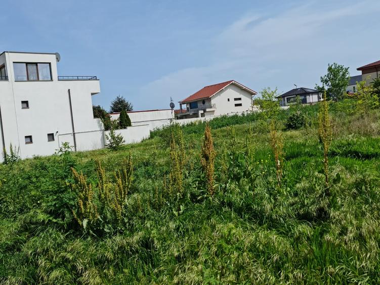 Teren Construcții intravilan de 670 mp, în Palazu Mare