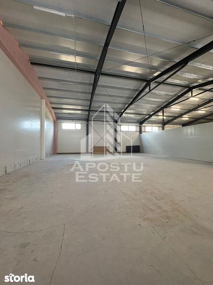 Hala cu acces tir, 300 MP Mosnita noua - 4