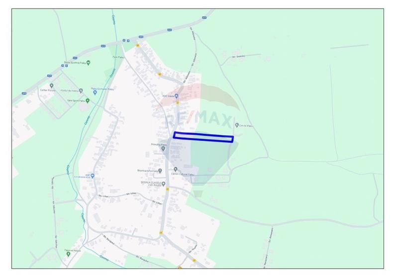Teren Construcții intravilan de 6384 mp, în Paleu