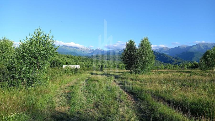Teren extravilan de 2500 mp, în Porumbacu de Jos