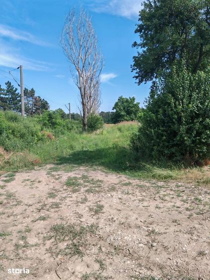 TEREN INTRAVILAN DE VANZARE // 5800 m2 CORLATE?TI, PRAHOVA - 3