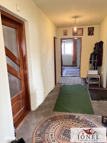 Casă cu Teren 6000 Mp în Teiu